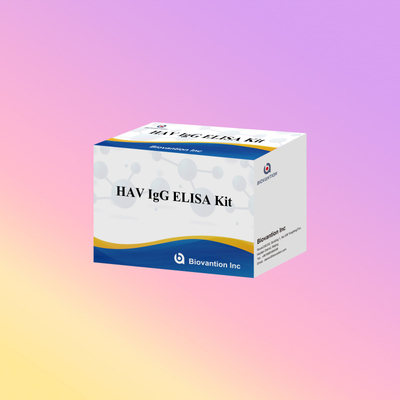 HAV IgG ELISA Test Reagent Kit 95% حساسیت