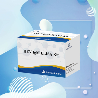 کیت تست الیزای دقیق و حساس HEV-IgM برای تشخیص دقیق و تجزیه و تحلیل
