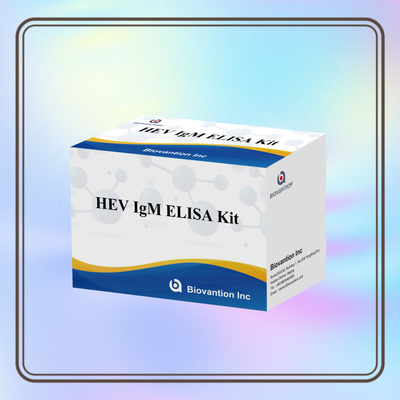 کیت تست الیزای دقیق و حساس HEV-IgM برای تشخیص دقیق و تجزیه و تحلیل