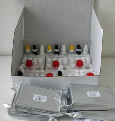 کیت آزمایش H.Pylori IgG Elisa با دقت بالا در آزمایشگاه یا بیمارستان
