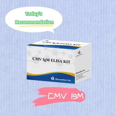 کیت واکنش دهنده CMV ELISA با حساسیت بالا برای تشخیص آنتی بادی های سیتومگالوویرس