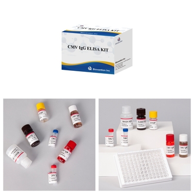 کیت واکنش دهنده CMV ELISA با حساسیت بالا برای تشخیص آنتی بادی های سیتومگالوویرس
