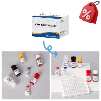 کیت واکنش دهنده CMV ELISA با حساسیت بالا برای تشخیص آنتی بادی های سیتومگالوویرس