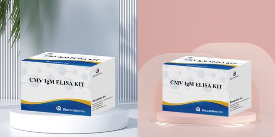 کیت واکنش دهنده CMV ELISA با حساسیت بالا برای تشخیص آنتی بادی های سیتومگالوویرس