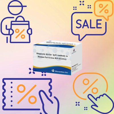 کیت تشخیصی برای پادتن های IgM بروویروس B19 انسان ELISA ایده آل برای عفونت های ارئتما و عوارض در بارداری