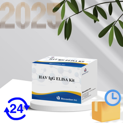 حساسیت بالا HAV IgG کیت الیزای دقیق هپاتیت A تشخیص ویروس قابل اعتماد CE گواهی شده برای استفاده بالینی و تحقیقاتی