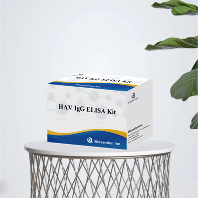 حساسیت بالا HAV IgG کیت الیزای دقیق هپاتیت A تشخیص ویروس قابل اعتماد CE گواهی شده برای استفاده بالینی و تحقیقاتی