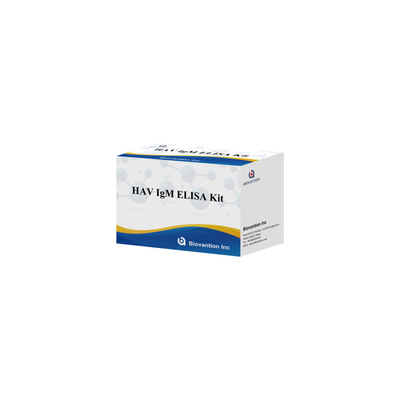 HAV IgM ELISA Kit حساسیت بالا هپاتیت A تشخیص ویروس تست تشخیصی دقیق و قابل اعتماد برای آزمایشگاه های بالینی