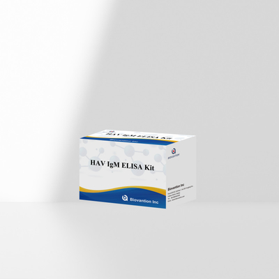 HAV IgM ELISA Kit حساسیت بالا هپاتیت A تشخیص ویروس تست تشخیصی دقیق و قابل اعتماد برای آزمایشگاه های بالینی
