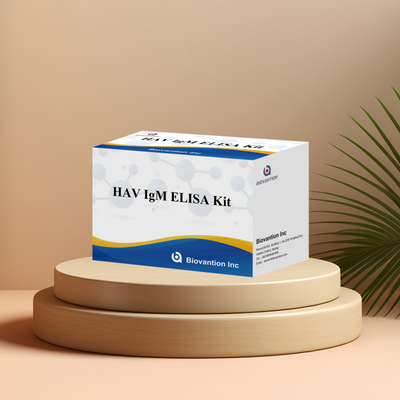 HAV IgM ELISA Kit حساسیت بالا هپاتیت A تشخیص ویروس تست تشخیصی دقیق و قابل اعتماد برای آزمایشگاه های بالینی