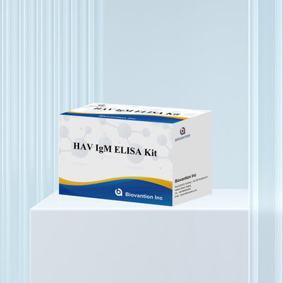 HAV IgM ELISA Kit حساسیت بالا هپاتیت A تشخیص ویروس تست تشخیصی دقیق و قابل اعتماد برای آزمایشگاه های بالینی