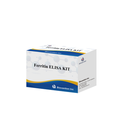 Biovantion حساسیت بالا فریتین کیت تست الیزای تشخیص کمی برای تشخیص بالینی و تحقیقات استفاده از نمونه های پلاسما سرم انسان