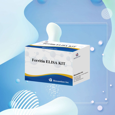 Biovantion حساسیت بالا فریتین کیت تست الیزای تشخیص کمی برای تشخیص بالینی و تحقیقات استفاده از نمونه های پلاسما سرم انسان