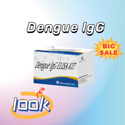 کیت آزمایش IgG Elisa با عملکرد بالا برای نتایج حساس و خاص