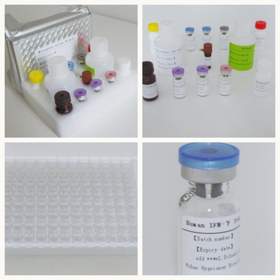 کیت تست حرفه ای TB-IGRA Elisa برای تجزیه و تحلیل حساس و خاص برای انسان