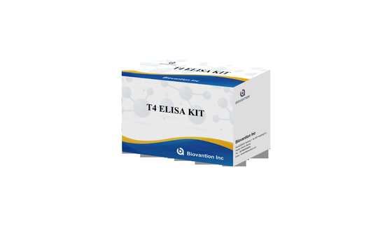 کیت آزمایش T4 Elisa بسیار خاص برای تشخیص دقیق مواد هدف