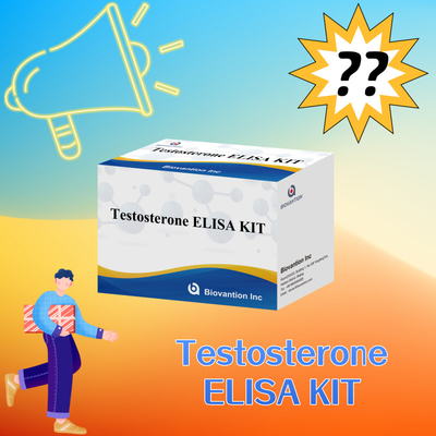 کیت آزمایش تستسترون الیزای با عملکرد بالا برای کمی کردن دقیق نشانگرهای زیستی