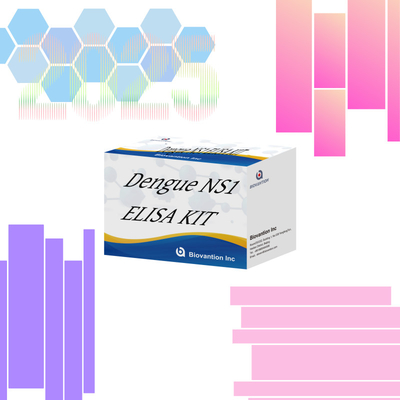 کیت ELISA در مورد بیماری دنگ Ns1 با آزمایش 96