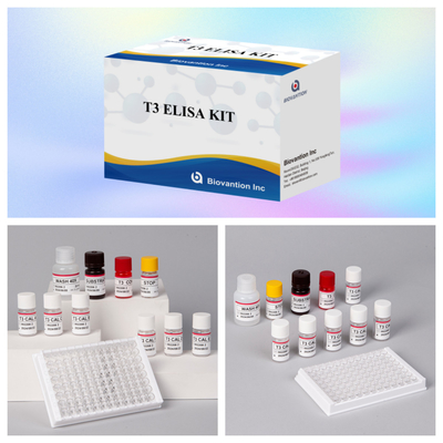 کیت تست T3 Elisa برای اندازه گیری دقیق و بیومارکرها