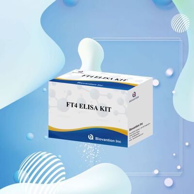 کیت تست الایزا FT4 دقیق با 98% ویژگی و 95% حساسیت برای اختلالات تیروئید (96 تست)