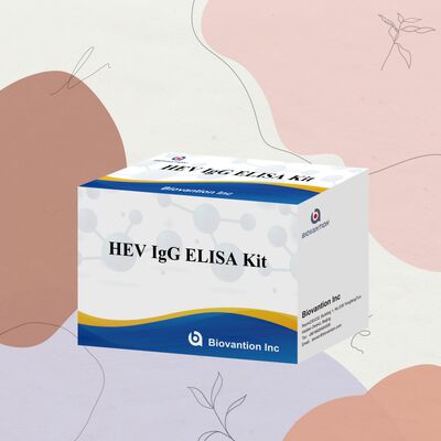 کیت آزمایش الایزا IgG-HEV با حساسیت بالا با اندازه 96T و 18 ماه ماندگاری برای تشخیص هپاتیت E