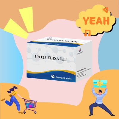 کیت آزمایش حساسیت بالا CA125 ELISA با 96 آزمایش و یک ساعت زمان آزمایش برای تشخیص دقیق سرطان