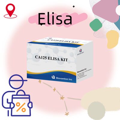 کیت آزمایش حساسیت بالا CA125 ELISA با 96 آزمایش و یک ساعت زمان آزمایش برای تشخیص دقیق سرطان