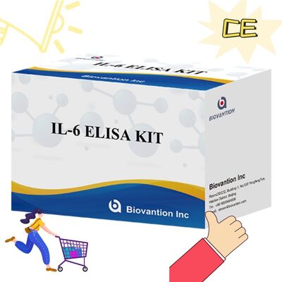 کیت ELISA انسانی اینترلوکین-6 (IL-6) با دقت 99%، ماندگاری 24 ماه و 96 تست در هر کیت