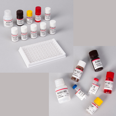 کیت الیزای Pro-BNP انسانی / کیت الیزای پپتید Natriuretic Pro-Brain