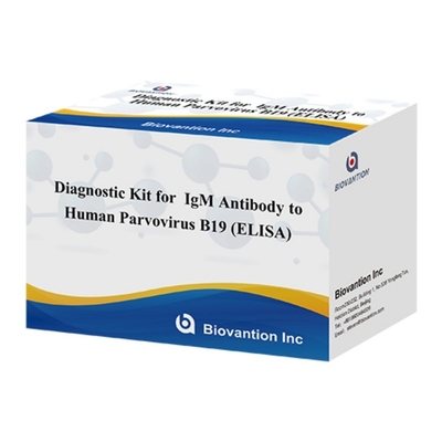کیت تشخیصی برای پادتن های IgM بروویروس B19 انسان ELISA ایده آل برای عفونت های ارئتما و عوارض در بارداری