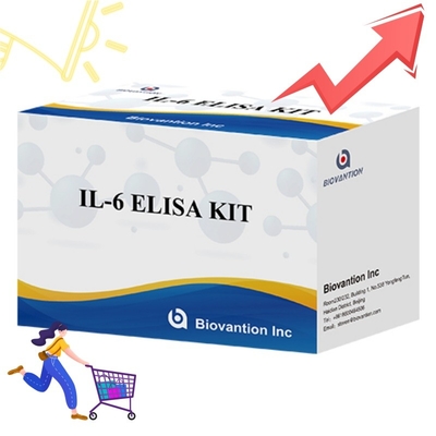 کیت ELISA حساسیت بالا برای تشخیص IL6 واکنش های تحقیقاتی قابل اعتماد برای تجزیه و تحلیل دقیق سیتوکین