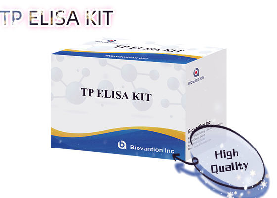 کیت آزمایش سیفلیس TP ELISA 96T تشخیص آنتی بادی Treponema Pallidum سرم انسانی