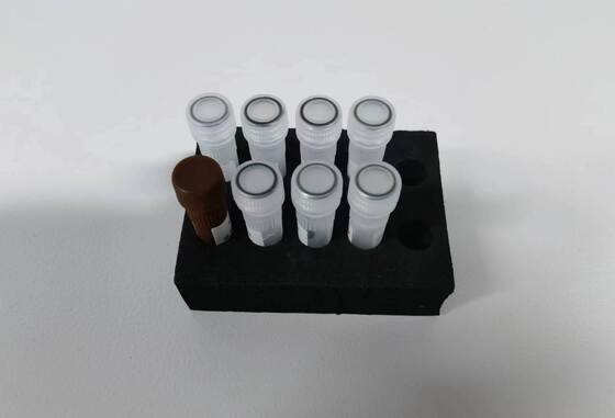 آزمایش PCR دینگو با 48 آزمایش کیفیت بالا